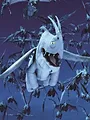 Dragons : Par-delà les rives S1 E4