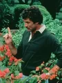 Magnum S6 E15