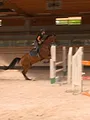 Au galop ! Une saison à cheval