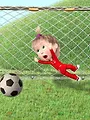 Masha et Michka : Edition football S1 E5