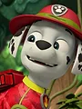 Paw Patrol S6 E6