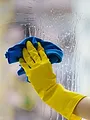 Cleaners les experts du ménage