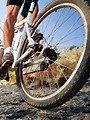 VTT : Entre deux courses