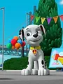 Paw Patrol S5 E26