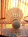 Badminton : Championnats du monde