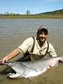 Bêtes de poissons