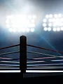 Kickboxing : ONE Fight Night