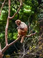 Une saison au zoo