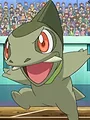 Pokémon : Noir et Blanc S14 E41