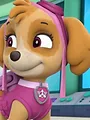 Paw Patrol S5 E5