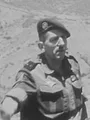 En guerre(s) pour l'Algérie