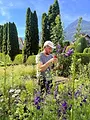 Im Rausch der Blumen: Von Festen und Jahreszeiten