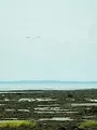Fleuve en eaux troubles