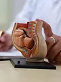 Sauver bébé dans le ventre de sa mère