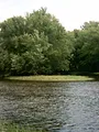 Destination Wild : Mississippi sauvage
