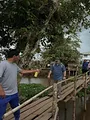 Croczilla