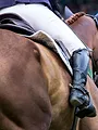 Au Coeur Des Courses