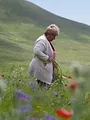 Naturparadies Armenien