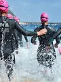 Triathlon : World Triathlon Championship Series