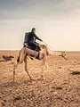 Expédition en Arabie