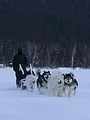 Alaska : nouvelle vie