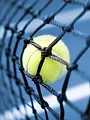 Tennis : Tournoi WTA du Canada