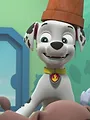 Paw Patrol S10 E20