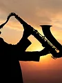 Django Reinhardt Tribute: Beets & Rosenberg