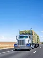 Routiers de l'Outback