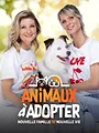 Animaux à adopter