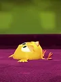 Where's Chicky? S1 E1
