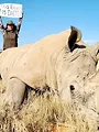 La Globe-Trotteuse Chasse & Pêche