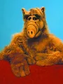 Alf S1 E13