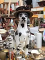 American Pickers, la brocante made in USA