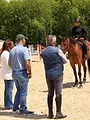 Au galop ! Une saison à cheval