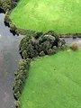 Les promesses de la terre