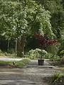 De Boeddhistische Blik: Je hart als poort (1/2)