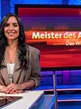 Meister des Alltags