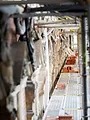 Construction Fails