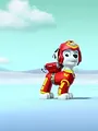 Paw Patrol S6 E11