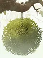 Tobie Lolness S1 E9