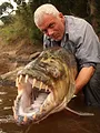 River Monsters