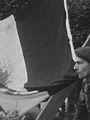 En guerre(s) pour l'Algérie
