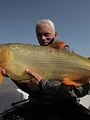 River Monsters