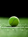 Tennis : Tournoi ATP d'Eastbourne