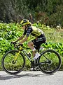 Tour de France Femmes