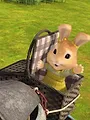 Pierre Lapin S2 E33
