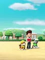 Paw Patrol S3 E10