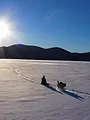 Alaska : nouvelle vie