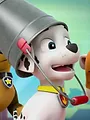 Pat' Patrouille S4 E11
